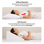 Ergowav SpineAlign Lumbar Cushion